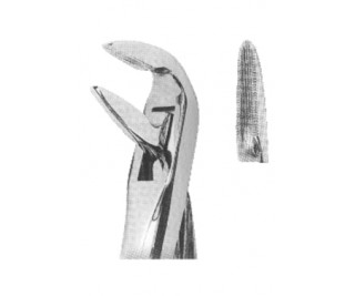 Extracting Forceps With Anatomically Shaped Handle